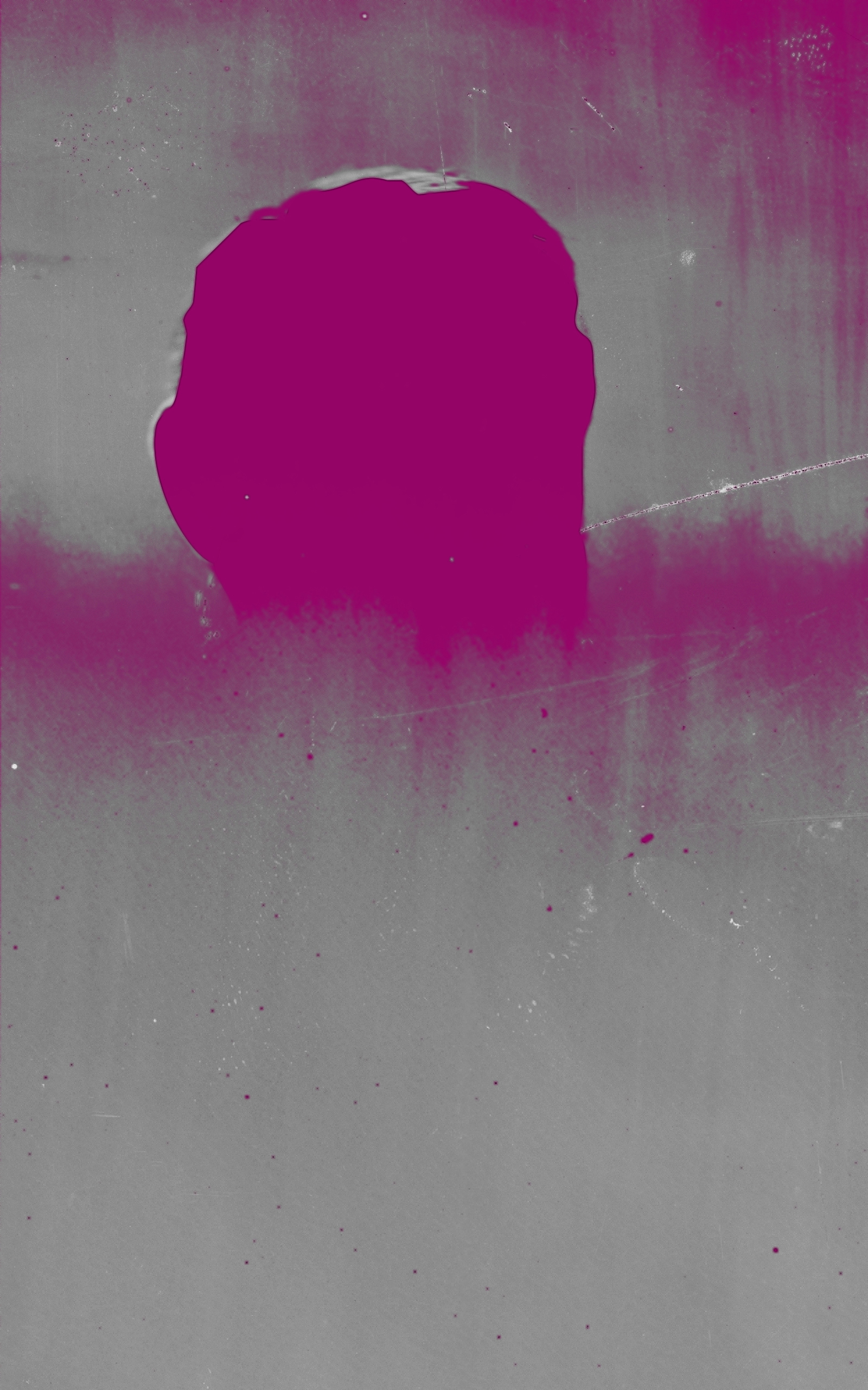 intellectual capitalist