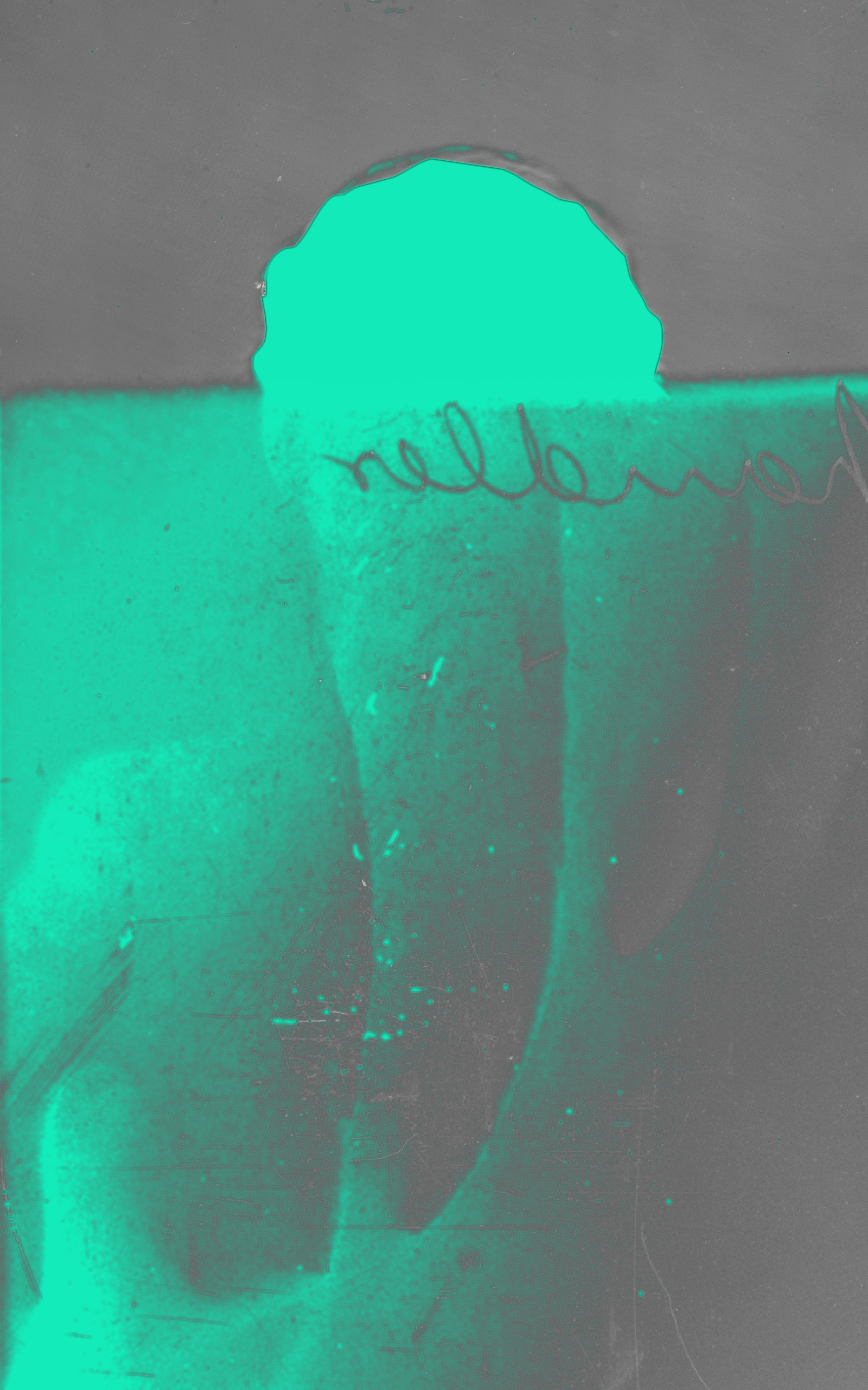 toothless, spineless